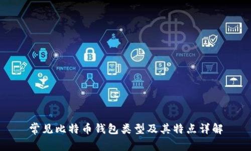 常见比特币钱包类型及其特点详解