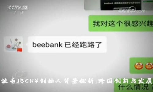 波币（BCH）创始人背景探析：跨国创新与发展