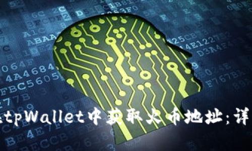 如何在tpWallet中获取火币地址：详细教程