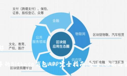 返回顶部

适合新手的Bitbase钱包APP完全指南：安全、功能与使用技巧