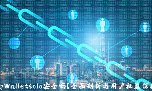 
tpWalletsolo安全吗？全面剖析与用户权益保护