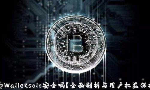 
tpWalletsolo安全吗？全面剖析与用户权益保护