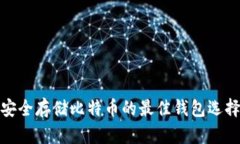 安全存储比特币的最佳钱