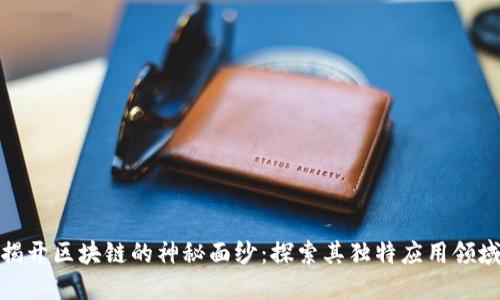揭开区块链的神秘面纱：探索其独特应用领域