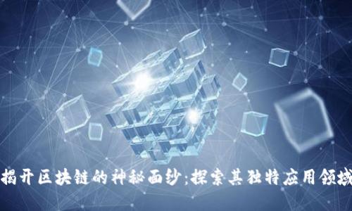 揭开区块链的神秘面纱：探索其独特应用领域