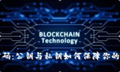 掌握区块链密码：公钥与私钥如何保障你的数字
