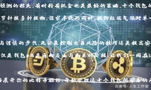 比特币钱包显示有十个：如何安全管理你的虚拟财富

比特币钱包, 虚拟货币, 安全管理/guanjianci

引言：数字财富的崛起

想象一下，晨曦的阳光透过窗帘洒在你的桌面上，而你正坐在一把舒适的椅子上，打开你的电脑，查看那十个充满无穷可能的比特币钱包。每个钱包都如一扇窗，窗外是一个波澜壮阔的虚拟财富世界，等待着你的开拓与探索。比特币不仅是一种投资工具，更是一种全新的财务自由理念，它让身份和财富的界限变得模糊，让每个人都有机会掌握自己的经济命运。

了解比特币钱包的种类

在进入比特币的世界之前，我们首先需要了解什么是比特币钱包，以及它们的种类。比特币钱包可以理解为一个数字化的“口袋”，你可以在其中存放、发送或接收比特币。而根据不同的使用需求，这些钱包大致分为几种类型。

首先是em热钱包/em，它们总是连接到互联网，方便快捷，适合日常交易。例如，手机应用程序和在线平台提供的服务都是热钱包的典型代表。想象一下，在咖啡馆里，你用手机扫一扫便可以完成比特币的支付，这就是热钱包的便捷之处。

而em冷钱包/em则是对比特币进行长期保存的理想选择，通常以硬件或纸张的形式存在，它们在离线状态下保存你的私钥，极大地提高了安全性。就像一个藏在家中保险箱里的珍贵宝物，冷钱包为你的比特币保驾护航。

在了解钱包的种类后，如何管理这十个钱包便成为了一门重要的艺术。不同的钱包可能包含不同的交易历史，如何确保你的比特币安全又能灵活使用，值得我们深入探讨。

安全管理：确保数据和资金安全

管理十个比特币钱包需要高超的安全技巧。首先，建议使用强安全性的密码。你的比特币钱包密码就像一把锁，足够复杂才能有效防止“晨雾中的小偷”入侵。为了增加安全性，可以考虑使用双重身份验证，确保任何交易都需要经过多重身份验证，这就好比在你的私人花园前多加了一道围墙，让“野兔”难以入侵。

其次，定期备份你的钱包信息，尤其是私钥和助记词。就像在绳索上行走，知道正确的定位和步伐才能一次次成功。如果钱包丢失或遭受攻击，有了备份，才能在瞬息万变的虚拟世界中重新站起来。而这种备份最好储存在不同的物理位置，如一个在家中，一个在朋友那里，以此来降低风险。

钱包之间的转移与管理

拥有多个钱包是一个双刃剑。在灵活性的背后，也隐藏着风险。首先，交易时务必清楚，从哪个钱包发送比特币。例如，进行大型投资时，确保从记录较多交易的具体钱包中发送资金，避免因急于操作而导致错漏。

而且，了解各个钱包之间的费用结构也十分重要。就像驾驶汽车在繁忙的街道上行驶，熟悉路线和收费站的信息尤为重要。在某些情况下，转账费用可能会比原本预期的高，因此做好计划，从各个钱包的特点出发，选择适合的时间进行操作。

市场变化：保持灵活性和应对能力

在比特币的世界中，市场变化如同四季的轮回，始终变幻莫测。当市场进入牛市时，把握时机，及时进行小额的投资，分散风险；而在熊市中，警惕避免不可预测的损失，有时持有现金也是最好的策略。十个钱包的存在可以让你在策略实施上更具灵活性，随时根据市场变化调整自己的计划。

此外，不同的钱包的管理可以帮助你虽然看似分散风险，实际上却形成了隐蔽的资产管理策略。避免将所有的比特币存放在一个地方就像是在不同的季节种植多种植物，谋求丰收的同时，抵御极端气候对单一种植物的影响。

总结：智慧与资产的双重管控

通过上述的探讨，我们了解到，管理十个比特币钱包并不仅仅是简单的存储与交易，更是关于智慧与资产的双重管控。在晨雾中行走，需保持敏锐的嗅觉与谨慎的步伐。无论是控制交易风险的技巧还是提高安全管理的意识，最终目的都是为了让我们的虚拟财富得到最的配置与保护。

这条数字时代的道路充满未知与可能，怀揣着理性的分析和务实的决策，将每一次交易都视为一次刻画在你人生旅程中的印记，让你的比特币钱包不仅仅是钱包，而是通向自由与未来的阶梯。让我们一同在这漫长的旅途上，像晨雾中的桥梁一般坚固而明晰，跨越财富的阻隔，抵达理想的彼岸。

下一步：开始你的比特币之旅

无论你是刚刚踏入这个加密货币的世界，还是已经在其中驰骋了一段时间，知识的积累将助你在变化多端的金融海洋中游刃有余。现在，是否已经准备好展开你的比特币旅程，开始管理这十个钱包所带来的无尽可能？