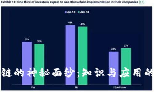 揭开区块链的神秘面纱：知识与应用的深度探索