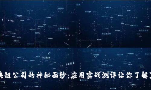 揭开区块链公司的神秘面纱：应用实战测评让你了解真实实力
