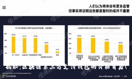 揭秘：区块链第三方支付钱包的价格背后！