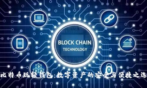 比特币现轻钱包：数字资产的安全与便捷之选