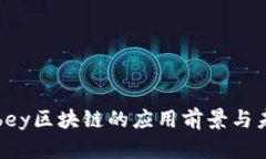 探索Abbey区块链的应用前景