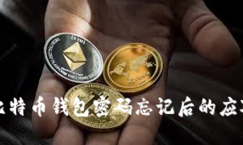 老外比特币钱包密码忘记后的应对策略