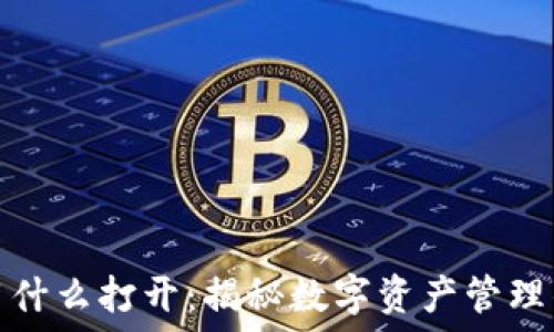   
区块链钱包用什么打开：揭秘数字资产管理的工具与技巧